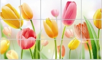 Giấy dán tường bếp hoa tulip