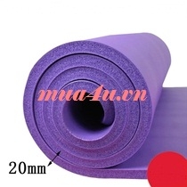 Thảm tập Yoga mat loại dày( tặng kèm túi bọc)